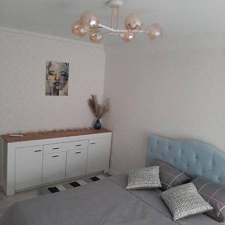 Comfortable Apartment Zamostyanska 34А Vinnytsia Extérieur photo